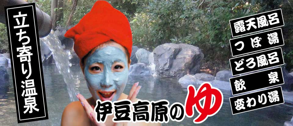 立ち寄り温泉 伊豆高原の湯